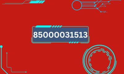 85000031513