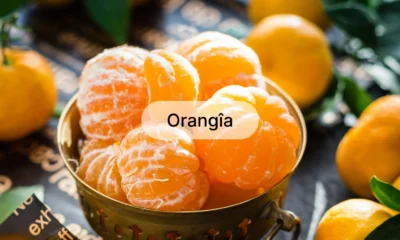 Orangîa