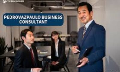 pedrovazpaulo business consultant