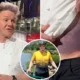 Gordon Ramsay's Bike Accident