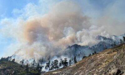 alexander mountain fire