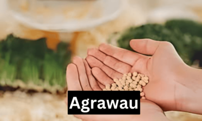 Agrawau