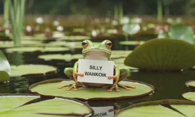 Silly Wankok
